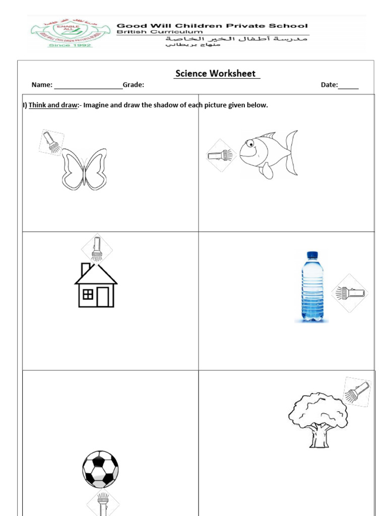 Shadow Drawing Science Worksheet | PDF