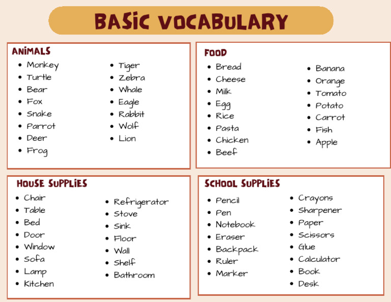 Essential Vocabulary for Everyday Items | PDF