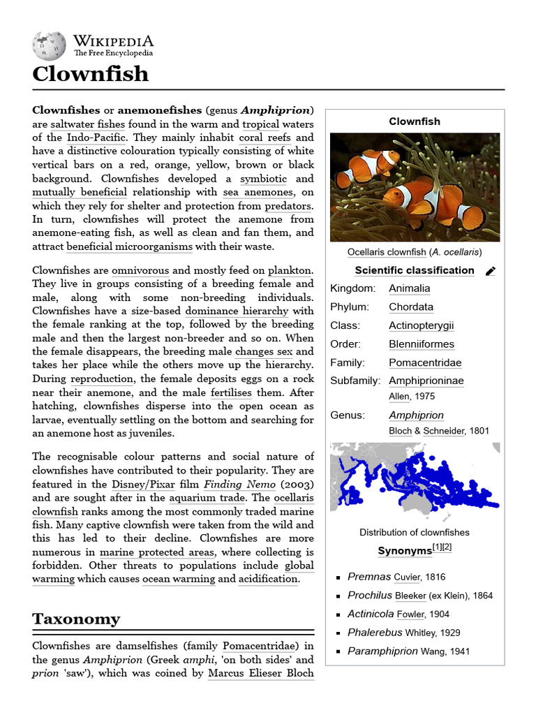 Clownfish Taxonomy and Classification | PDF