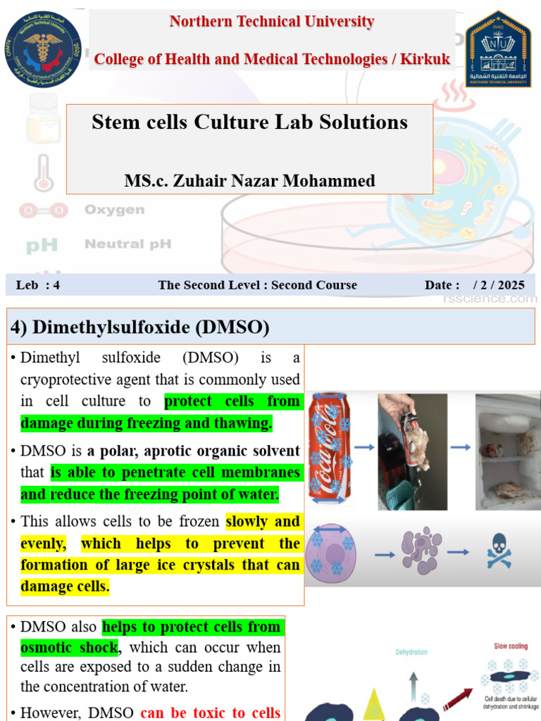 Lab 4 SC Culture Lab Materials & Solutions | PDF