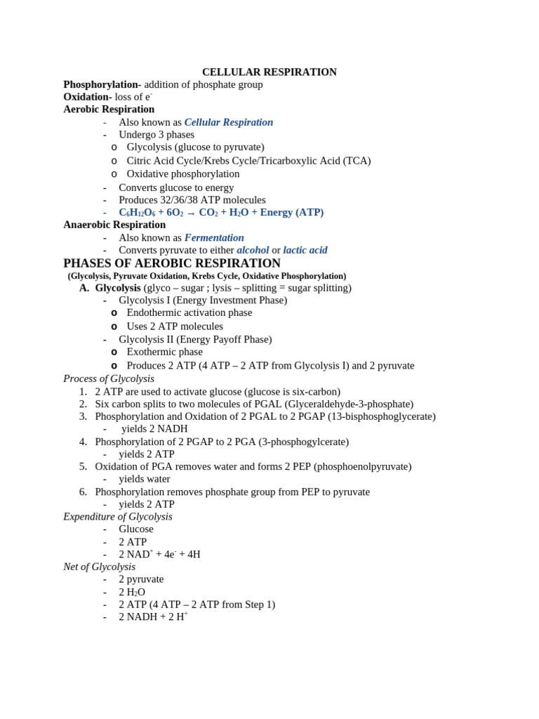 Cellular Respiration Phases Explained | PDF | Diet & Nutrition | Chemistry