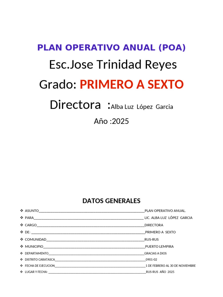 Plan Operativo Anual 2025 - Esc. Jose Trinidad Reyes | PDF | Maestros ...