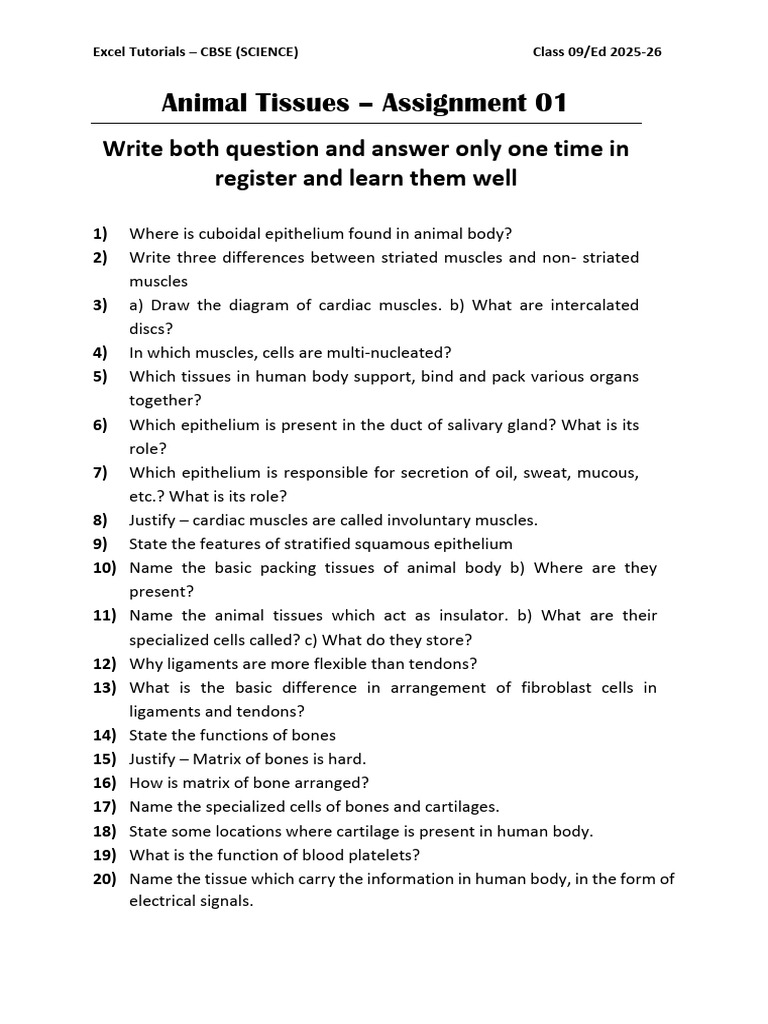 Animal Tissue - Assignment 01 | PDF
