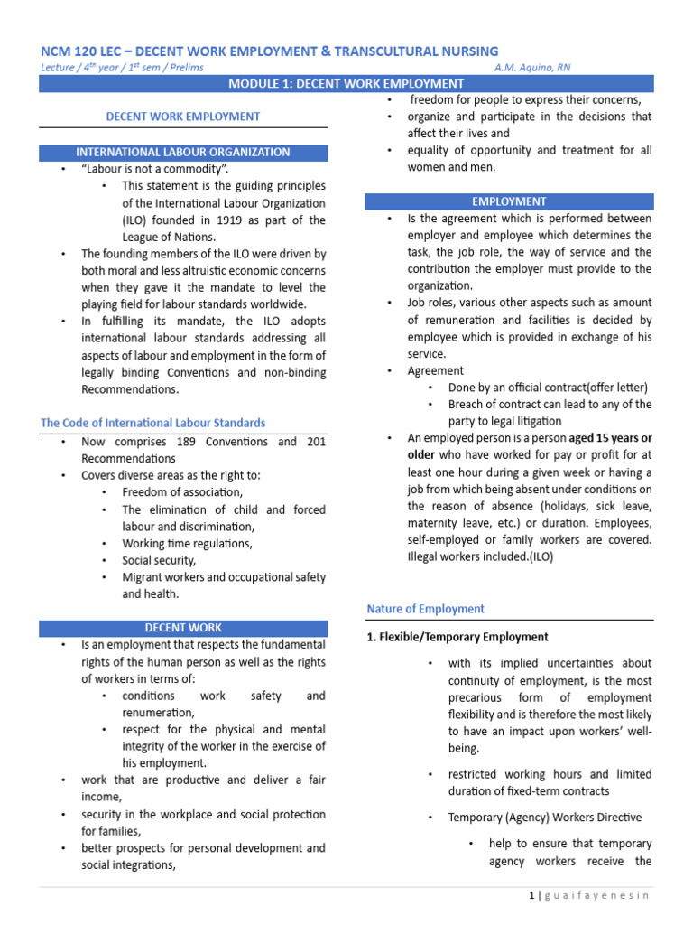 Decent Work Employment Principles | PDF | Employment | Overtime