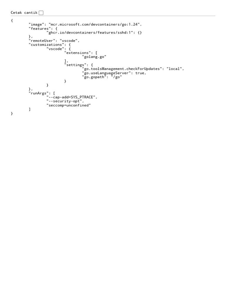 Go Dev Container Configuration Guide | PDF