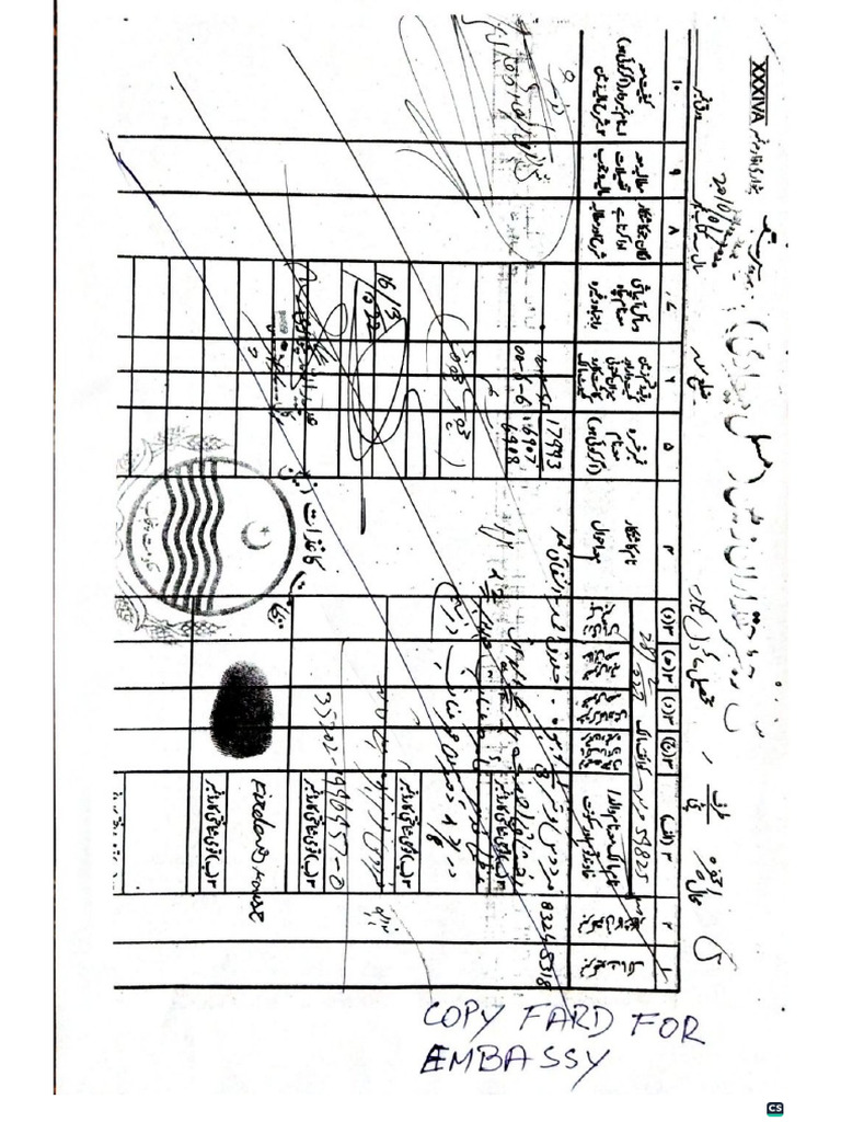 Document 182 | PDF