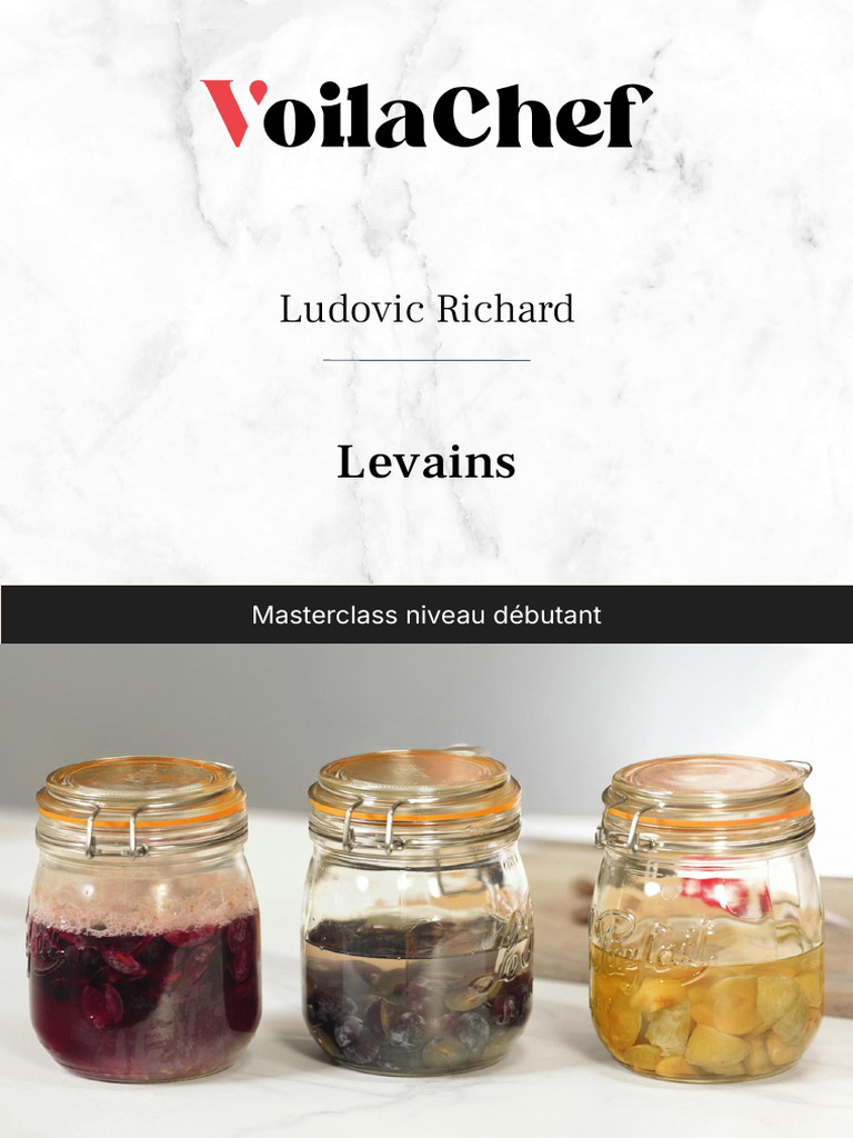 Maîtriser le Levain : Guide Débutant | PDF | Fermentation | Pains