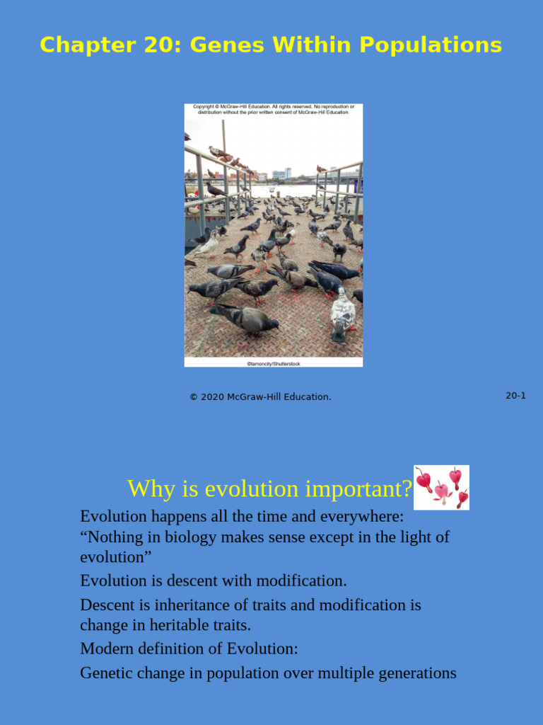 Chapter+20 Populations | PDF | Evolution | Natural Selection