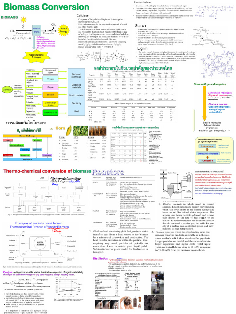 สรุปbiomass Conversion | PDF