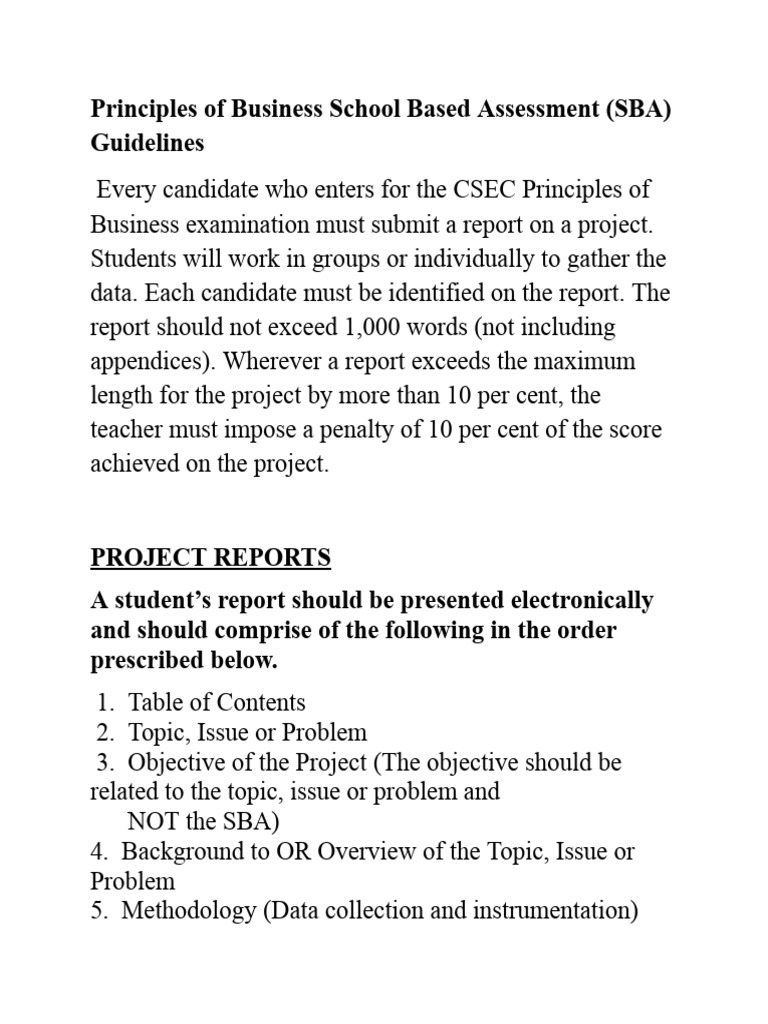 SBA Guidelines for Business Projects | PDF