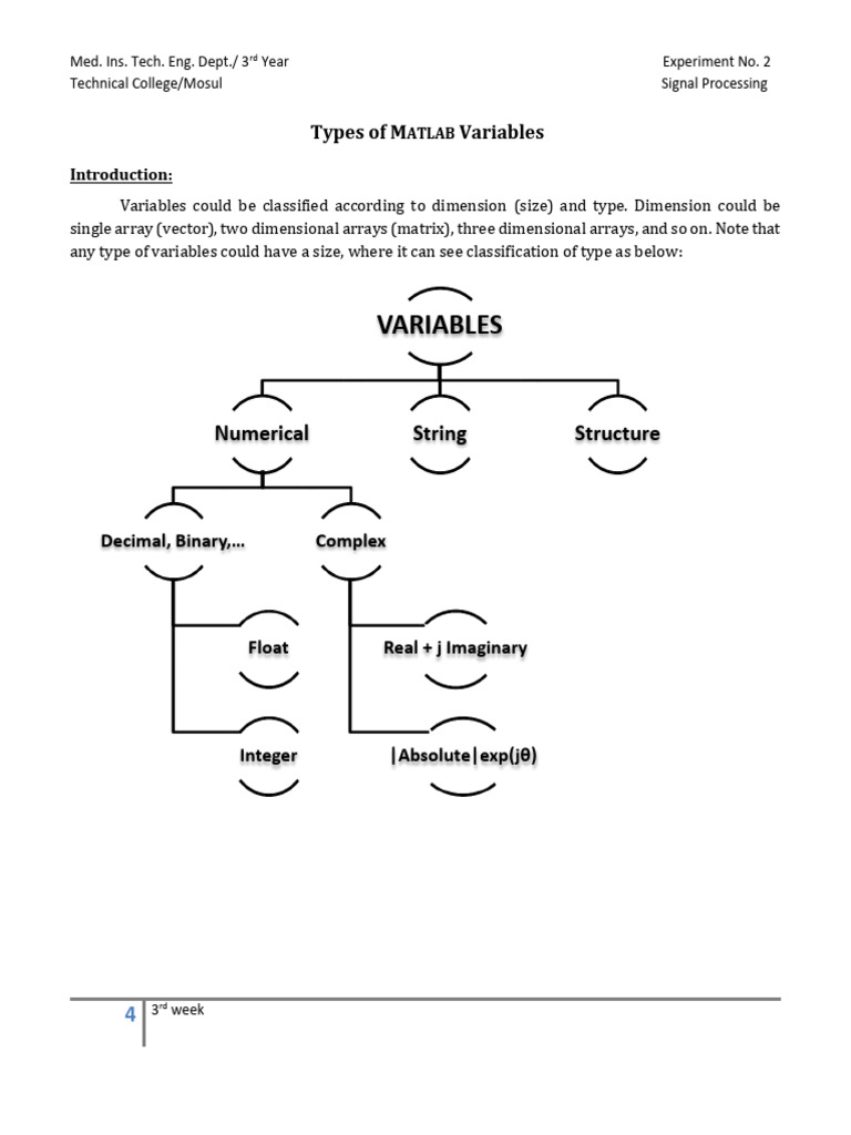 MATLAB Variable Types and Examples | PDF