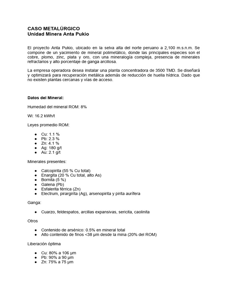 Proyecto Metalúrgico Anta Pukio | PDF | Minerales | Mineralogía