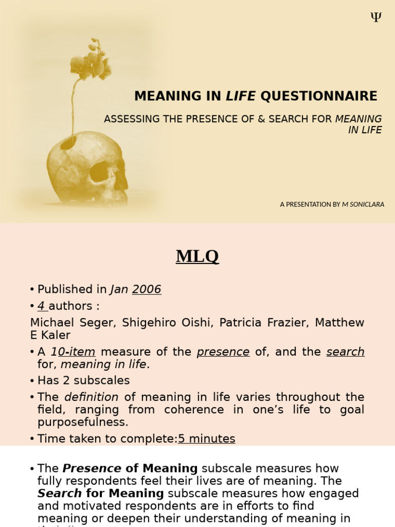 Steger's Meaning in Life Questionnaire 2006 | PDF