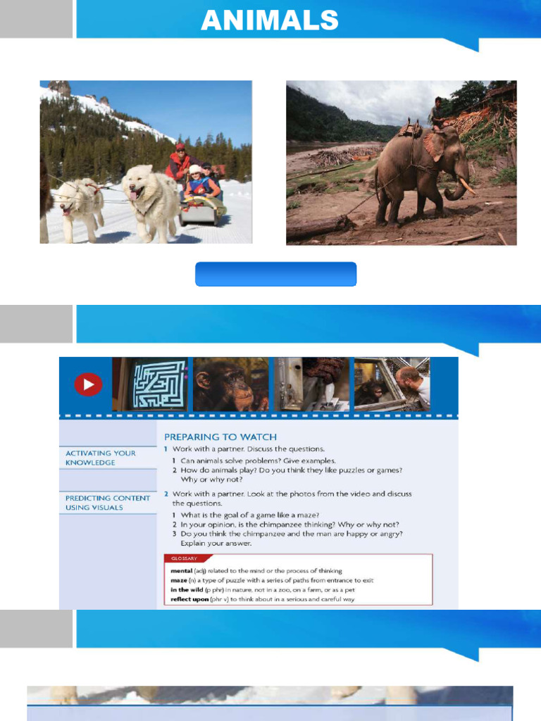 Animals Listening Activities Guide | PDF