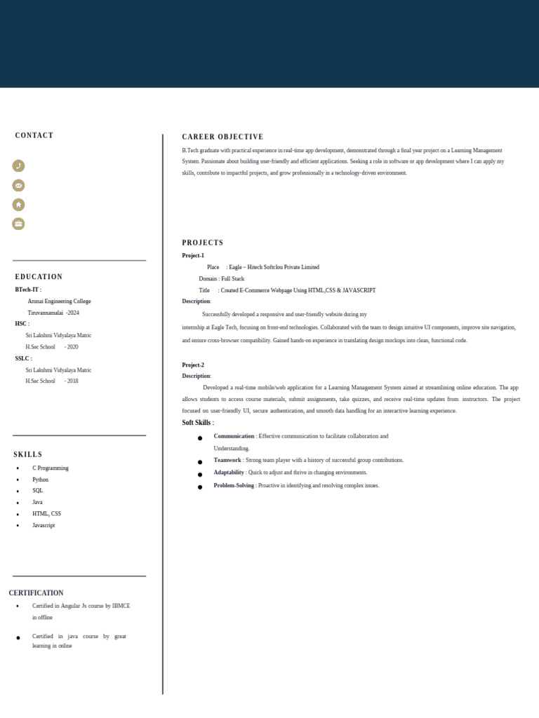 Software Developer Internship at Eagle Tech | PDF | Java Script | Usability