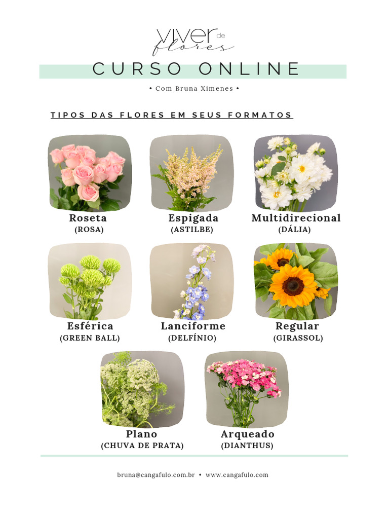 Tipos de Flores e Seus Formatos | PDF