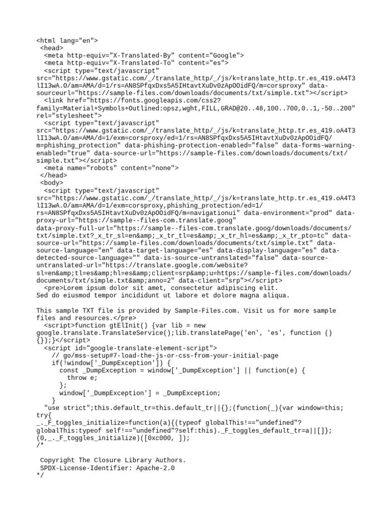 Sample TXT File Overview | PDF