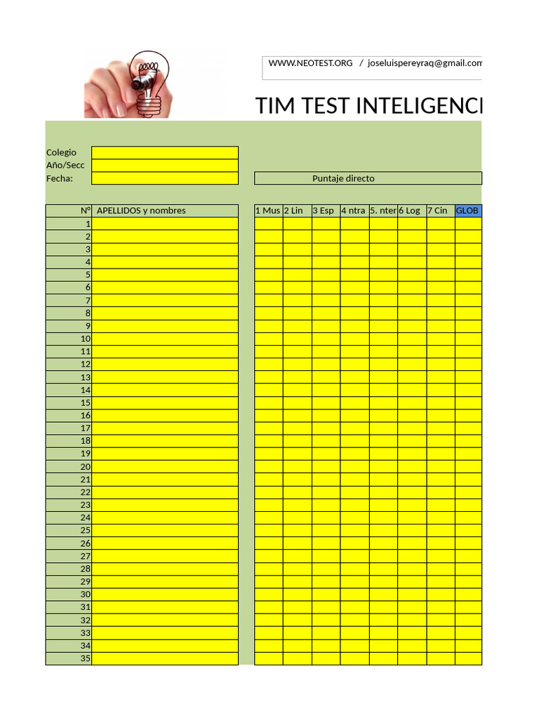 Informe Psicoeducativo TIM Test | PDF | Inteligencia | Psicometría