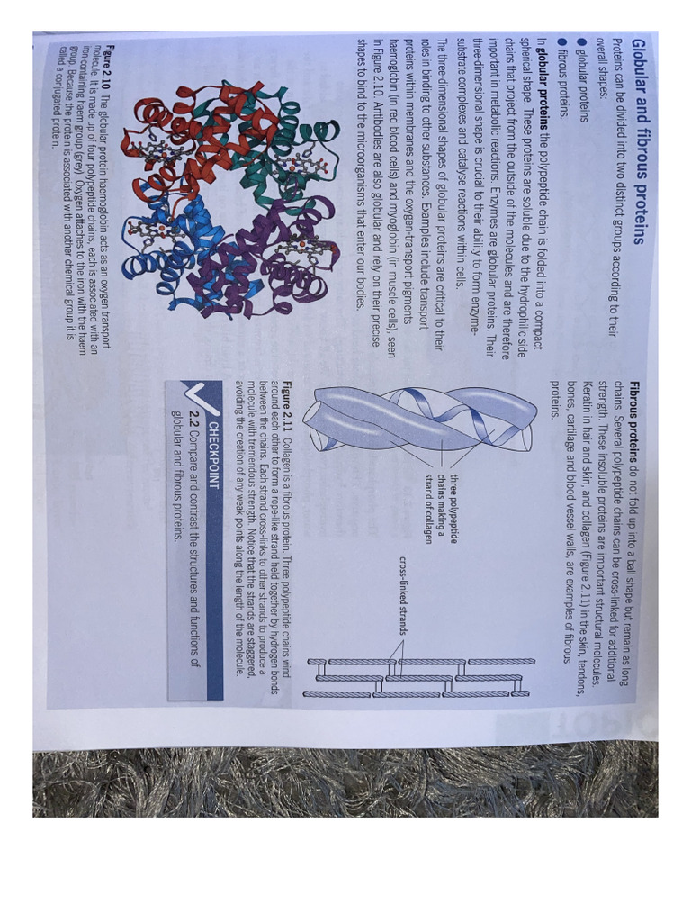 Protein Notes Full | PDF