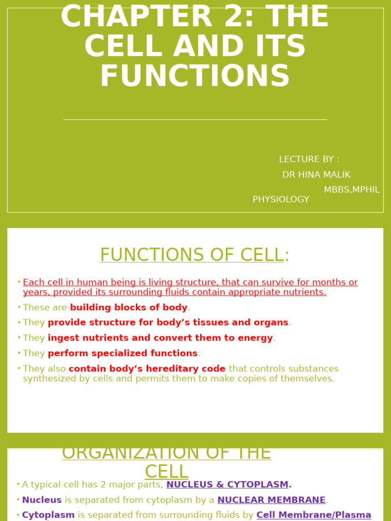 Functions and Structure of Cells | PDF | Endoplasmic Reticulum | Cell ...