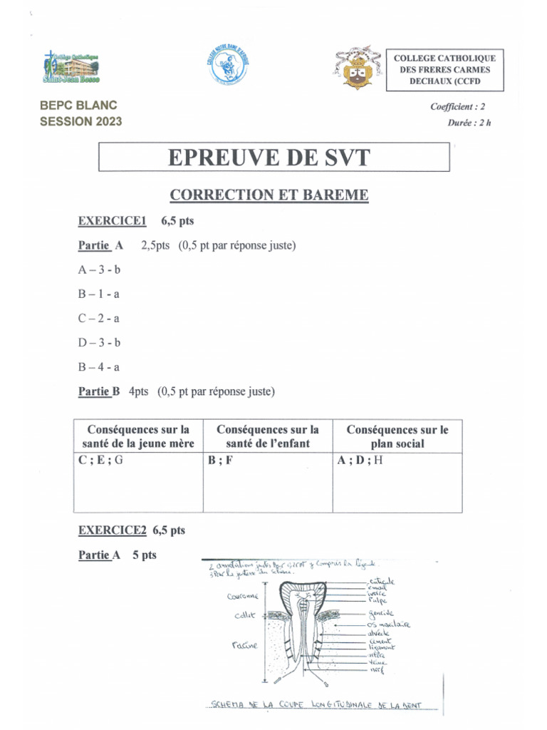 23 BEPCblanc SVT 3 BoscoNDA Corrige | PDF