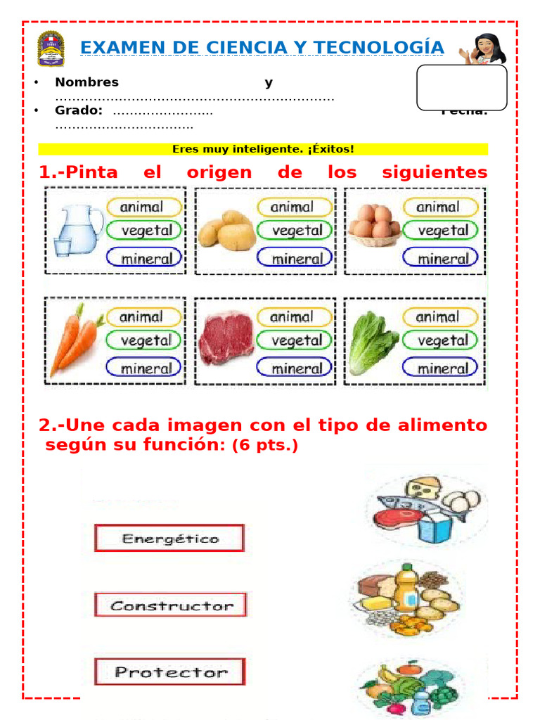 Evaluación Bimestral de Ciencia y Tecnología | PDF