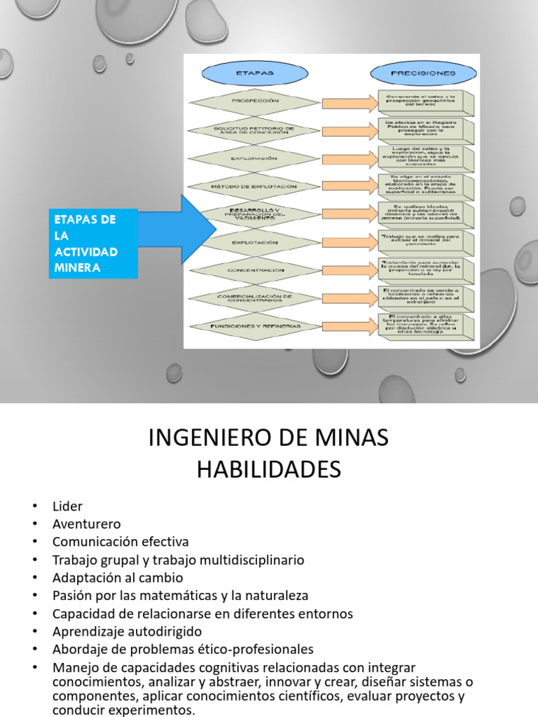 Etapas de la Actividad Minera: Guía Completa | PDF | Minería | Economias