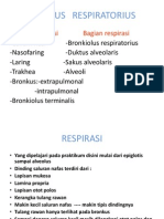 Sistim Pernapasan Manusia Secara Histologi