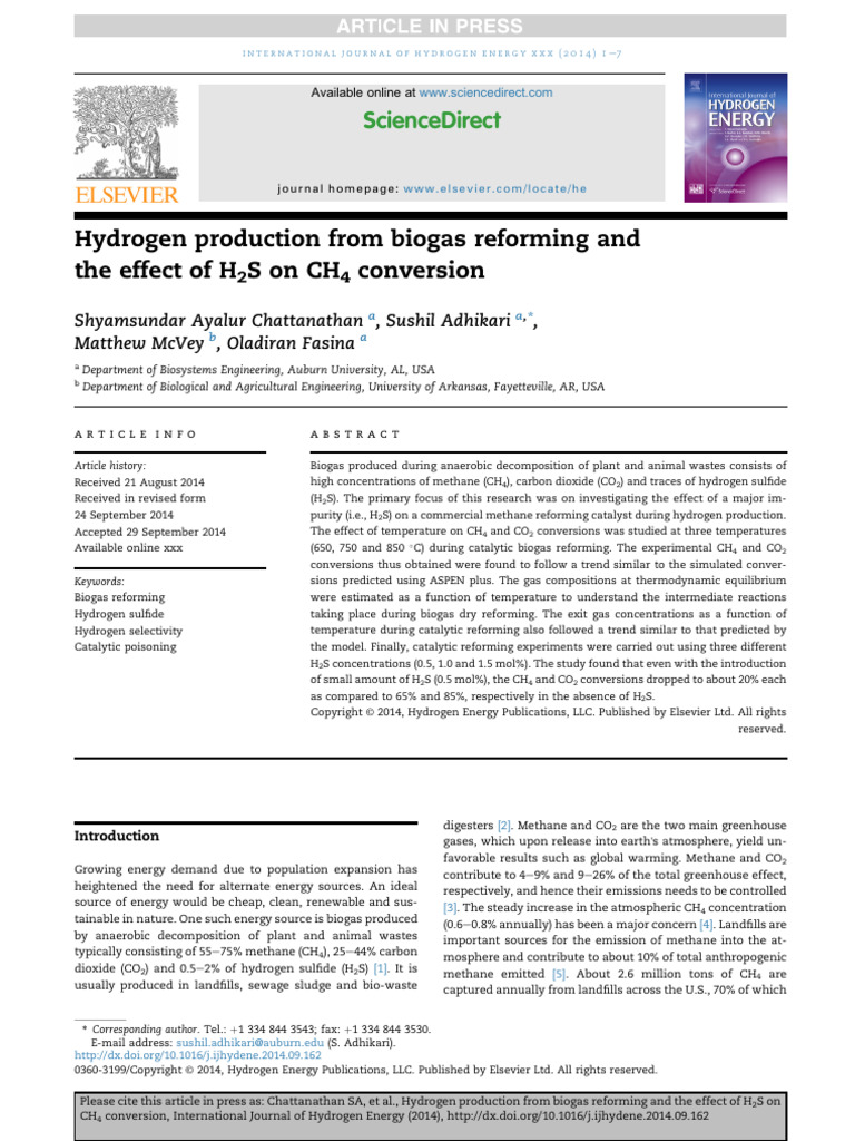 Hydrogen Production from Biogas Reforming | PDF | Methane | Catalysis