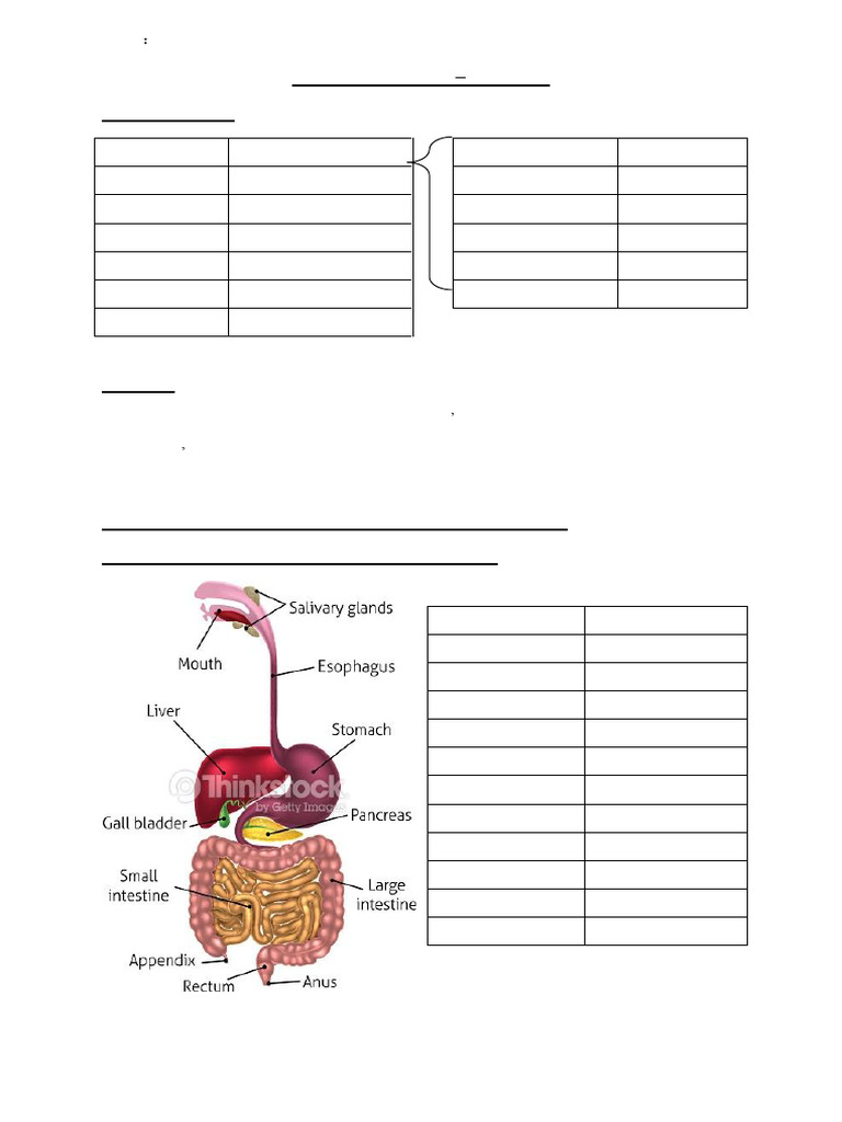 2019 Form 2 Chapter 3 - Nutrition | PDF