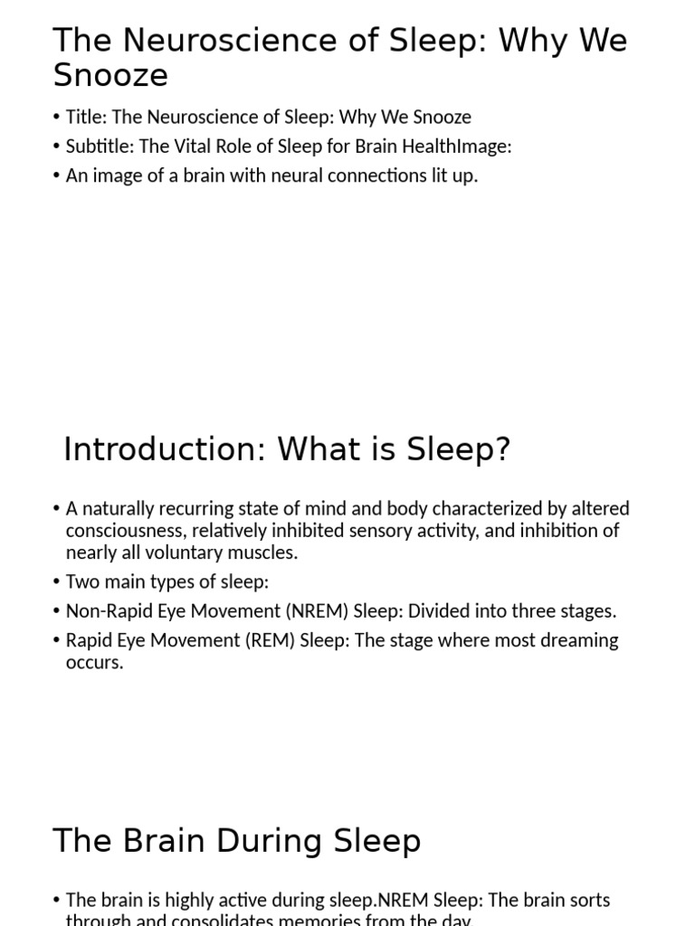 Neuroscience of Sleep Explained | PDF