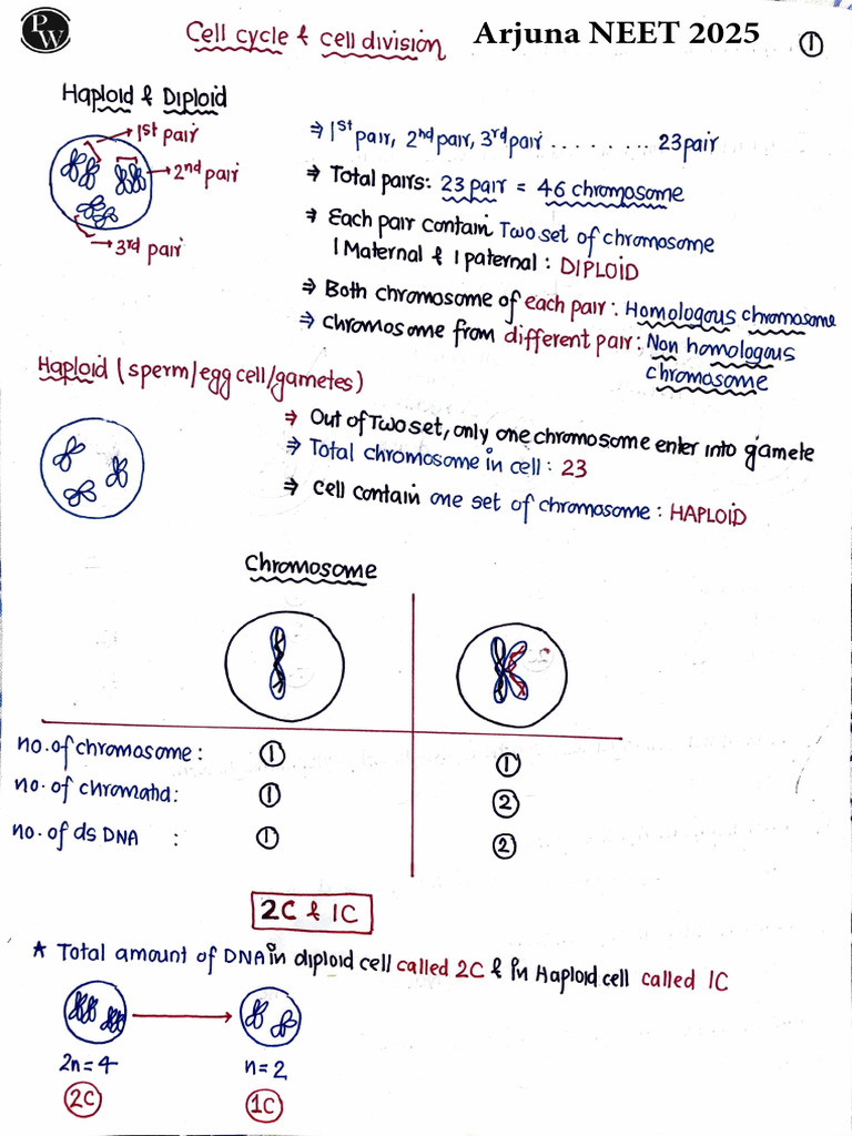 Cell Cycle and Cell Division 01 - Handwritten Notes - Arjuna NEET 2025 ...