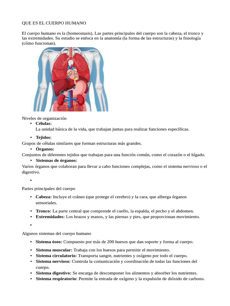 Estructura y Función del Cuerpo Humano | PDF