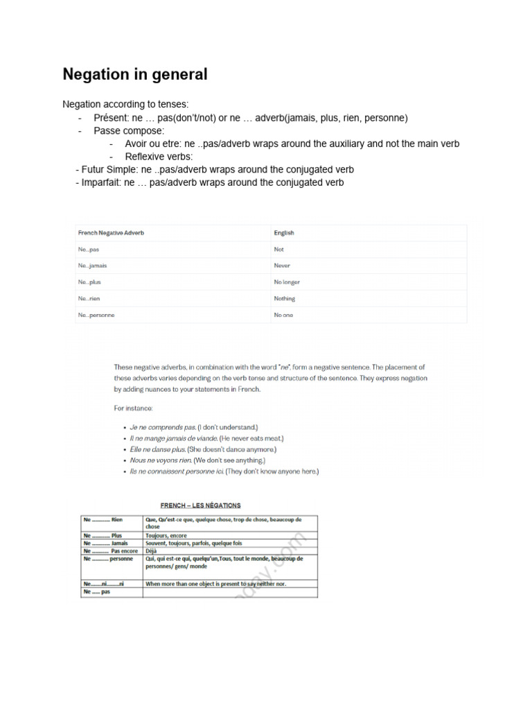 French Negation Rules Explained | PDF