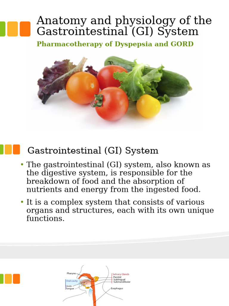 Anatomy and Physiology of the GI System | PDF | Gastroesophageal Reflux ...