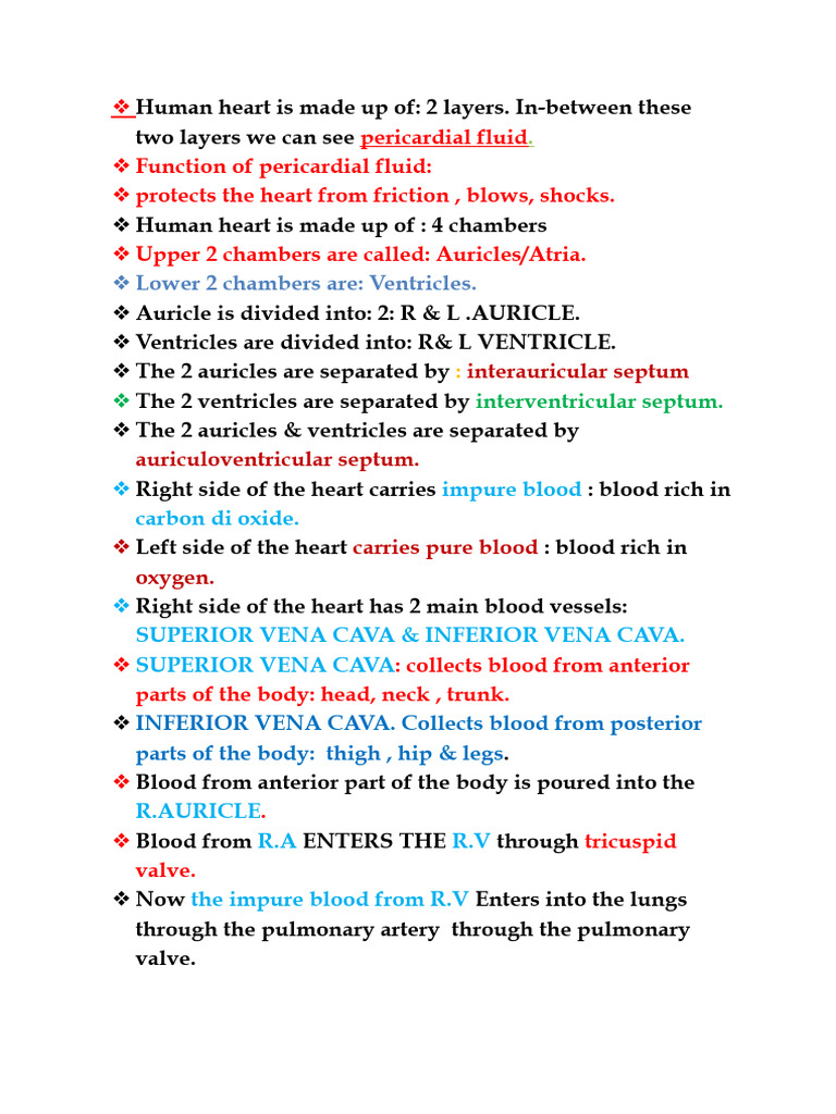 Circulation Notes (Autorecovered) (1).Docx | PDF | Vein | Heart