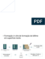 Formação de biofilme