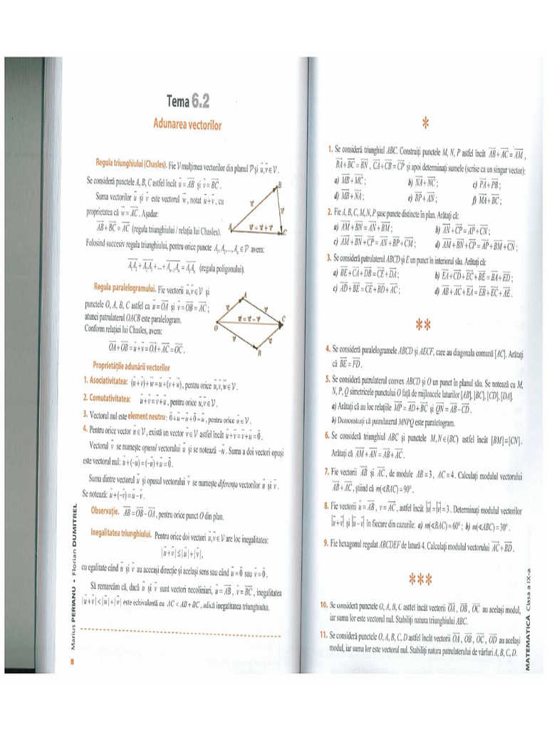 Probleme Vectori | PDF