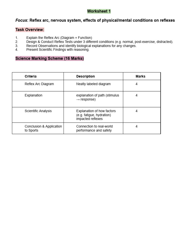 Reflex Arc Analysis and Testing | PDF
