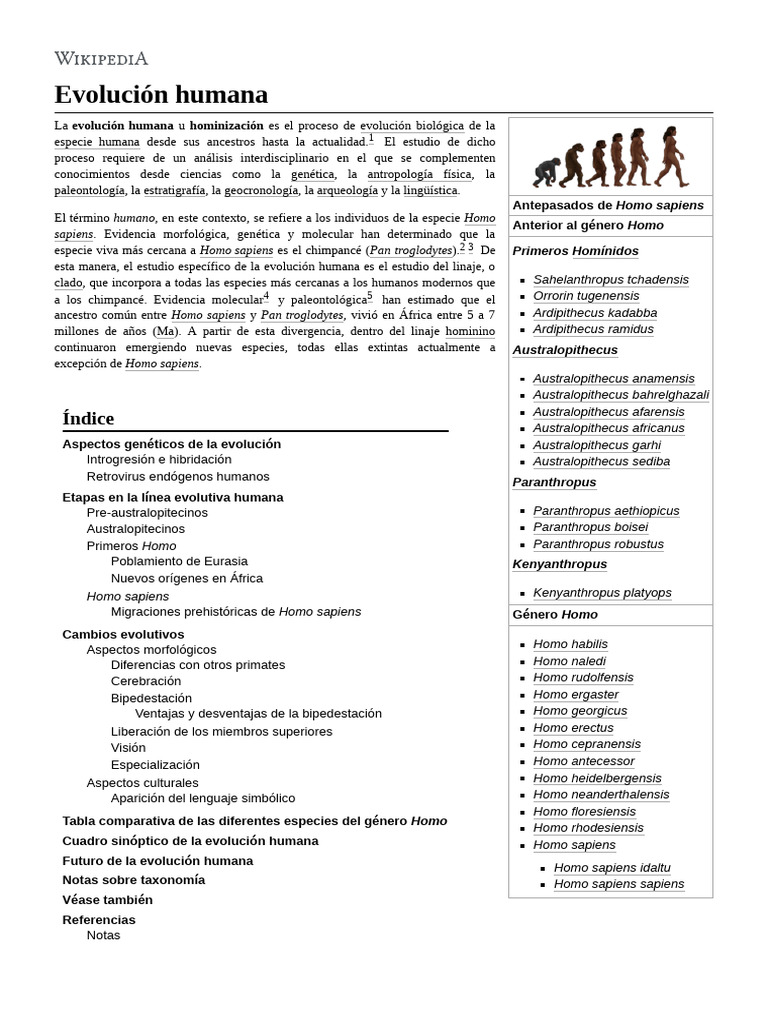 Evolución de Homo sapiens y sus ancestros | PDF | Evolución humana | Homo