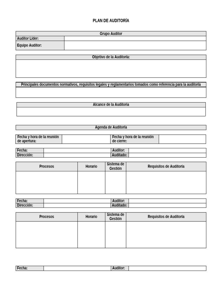 Plan de Auditoría Efectivo y Detallado | PDF