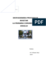 Desfasurarea Procesului Bugetar La Primaria Comunei Valea Ursului