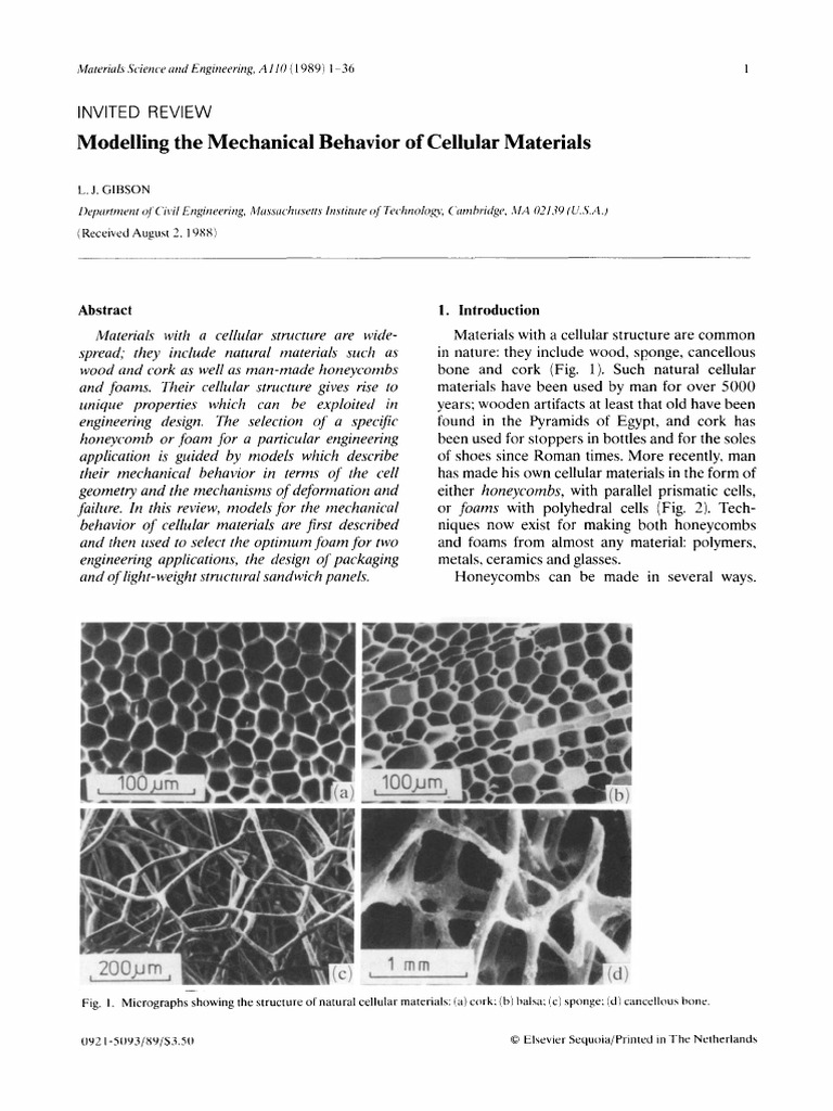 Mechanical Behavior of Cellular Materials | PDF | Deformation ...