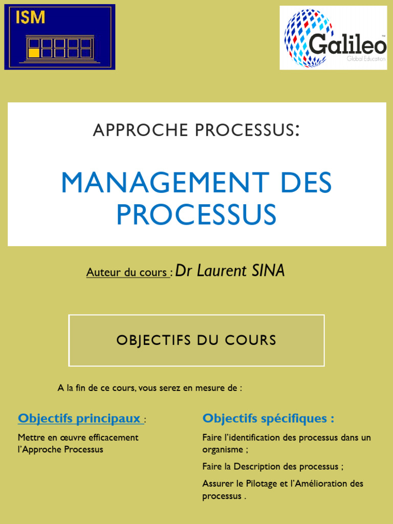 Management des Processus et Amélioration | PDF | Management de la ...