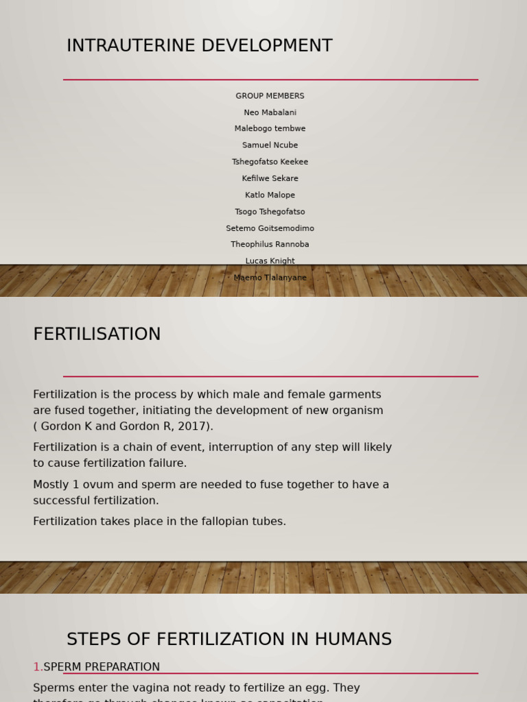 Intrauterine Development | PDF | Placenta | Meiosis