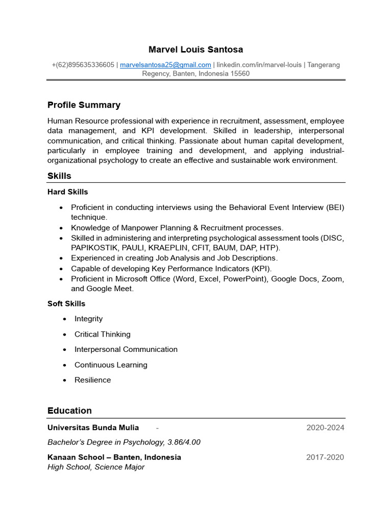 Human Resource Professional Profile | PDF | Human Resources | Recruitment
