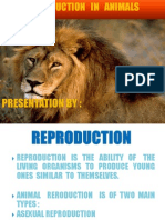 Reproduction in Animals