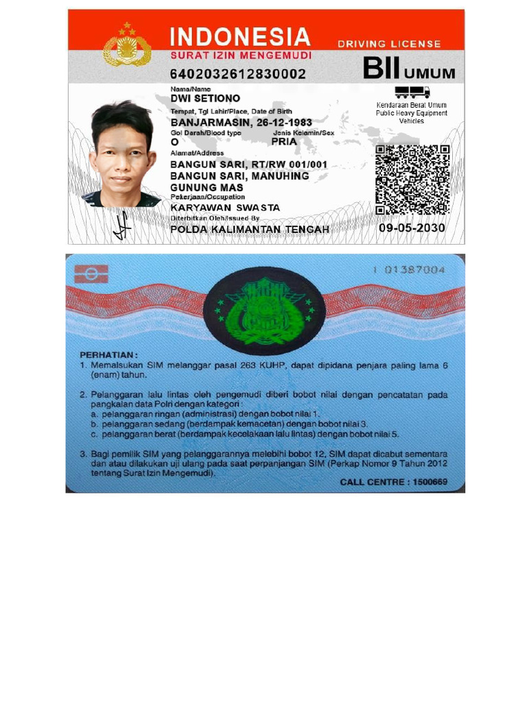 Sim | PDF