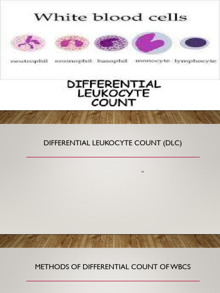 Differential White Blood Cell Count Guide | PDF | White Blood Cell ...