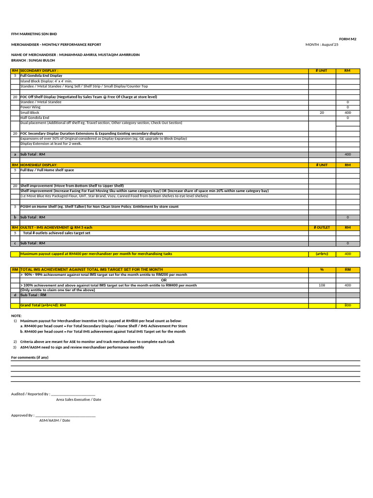 Merchandiser KPI Monthly Report | PDF | Retail Companies | Food Retailers